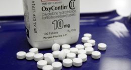 All states, territories agree to $7.4B Purdue Pharma opioid settlement