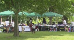 Annual gun-violence awareness event returned to Champaign