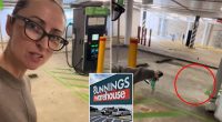 Bunnings shoppers spot 'brilliant' new car park feature: 'It's about time'