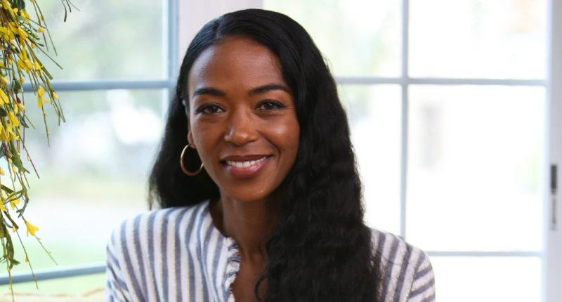 CNN Correspondent Shares Ananda Lewis' Final Text: ‘We All Go’