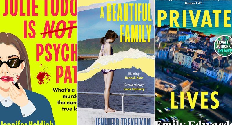 Cardiff killers and mystery men in this months popular fiction: JULIE TUDOR IS NOT A PSYCHOPATH by Jennifer Holdich, A BEAUTIFUL FAMILY by Jennifer Trevelyan, PRIVATE LIVES by Emily Edwards