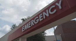 Causes of hurricane-related deaths revealed by Florida medical examiners