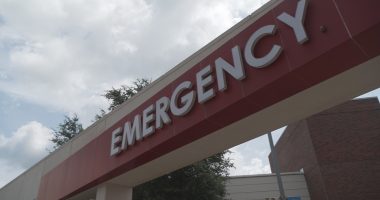 Causes of hurricane-related deaths revealed by Florida medical examiners
