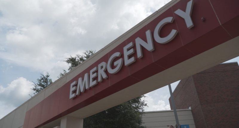 Causes of hurricane-related deaths revealed by Florida medical examiners