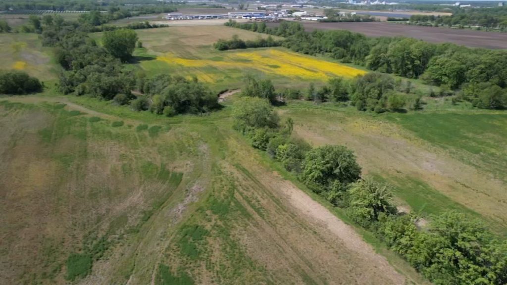 Chicago Heights, Illinois 'Z-farm' helping Urban Growers Collective battle food insecurity, lower carbon footprint