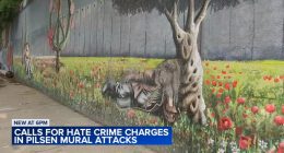 Chicago Mexican-Palestinian community mural vandalized, 2 attacked in Pilsen: victims; leaders call for hate crime investigation