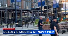 Chicago crime: Man killed in stabbing at Navy Pier, suspect seriously wounded near East Grand Avenue, police say