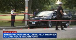 Chicago shooting: 3 shot, seriously injured on South Throop Street in Ogden Park in Englewood, police say