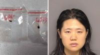 Chinese nationals charged with smuggling 'dangerous biological pathogen' into US