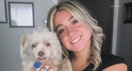 College student detained by ICE after Colorado traffic stop
