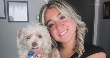 College student detained by ICE after Colorado traffic stop
