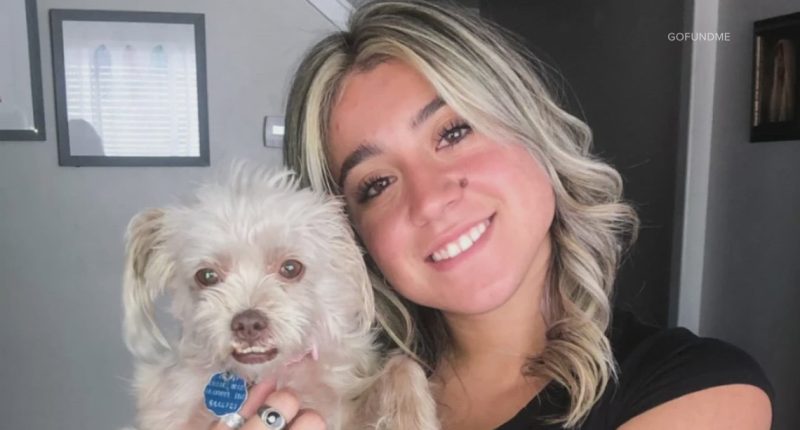 College student detained by ICE after Colorado traffic stop