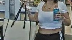 Crime Stoppers reports four more thefts at Champaign Meijer