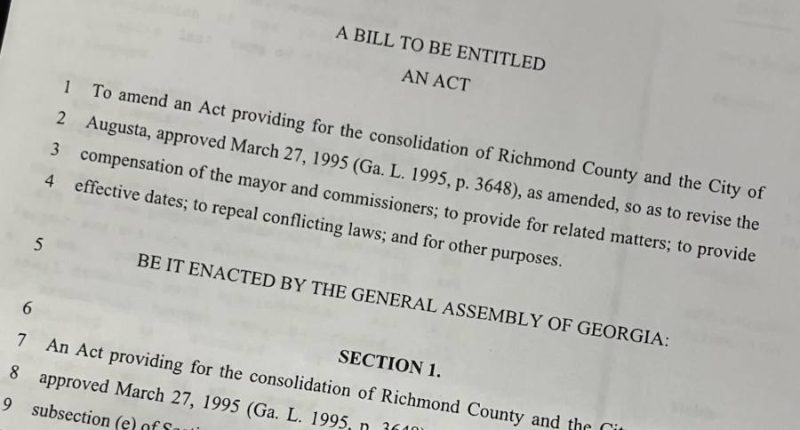 Critics call out Augusta Charter Committee from outside and in
