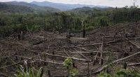 Cuts to USAID severed longstanding American support for Indigenous people around the world