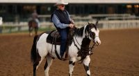 D. Wayne Lukas, Hall of Fame horse trainer and winner of 15 Triple Crown races, dies at 89