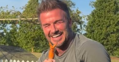 David Beckham makes a very shocking discovering in his carrot patch