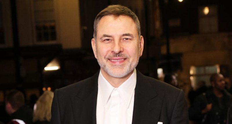 David Walliams horrifies BBC audience as he makes Nazi salutes on hit show