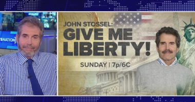 Diversity is good but DEI became about force: John Stossel