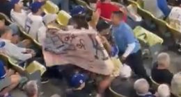 Dodgers fan protesting ICE removed from game by security hours after agents descended on stadium
