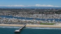 Dolphins spotted near swimmers in Newport Beach