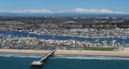 Dolphins spotted near swimmers in Newport Beach