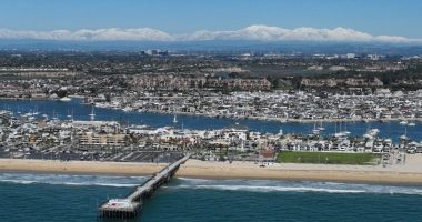 Dolphins spotted near swimmers in Newport Beach