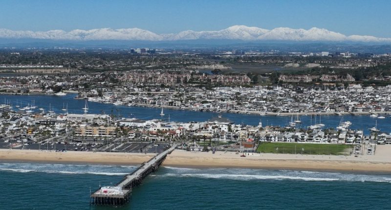 Dolphins spotted near swimmers in Newport Beach