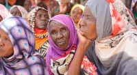 Driven to starvation, Sudanese people eat weeds and plants to survive as war rages