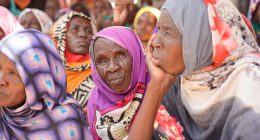 Driven to starvation, Sudanese people eat weeds and plants to survive as war rages