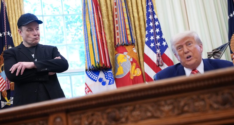 Elon Musk Seemingly Puts Final Nail In The Coffin Of His Bromance With Trump