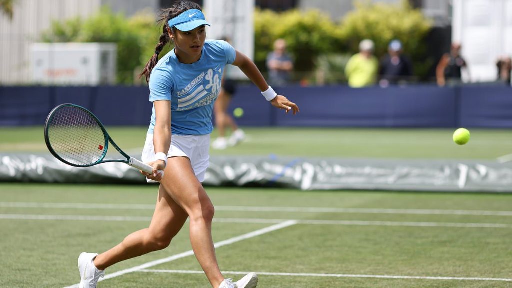 Emma Raducanu speaks out after her stalker was caught trying to buy Wimbledon tickets - months after being given restraining order in Dubai