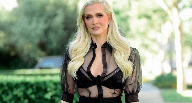 Erika Jayne on Moment She Nearly Quit RHOBH, Dating