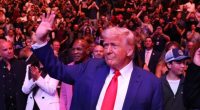 Exclusive -- UFC Fans React to Trump’s Attendance at Fights: ‘He’s One of Us’