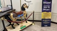 Exhibit highlighting Kingsport Carousel to open