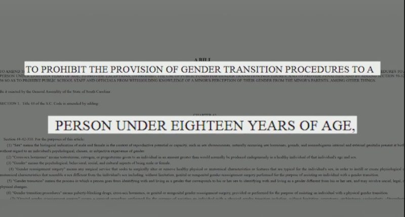 Family flees South Carolina, seeking gender affirming care