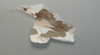 A man has been arrested after allegedly breaking a hole in an Adelaide family's roof in the early hours of the morning.