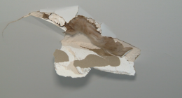 A man has been arrested after allegedly breaking a hole in an Adelaide family's roof in the early hours of the morning.