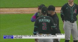 Fan ejected from Chicago's Rate Field after heckling player about late mother