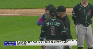 Fan ejected from Chicago's Rate Field after heckling player about late mother