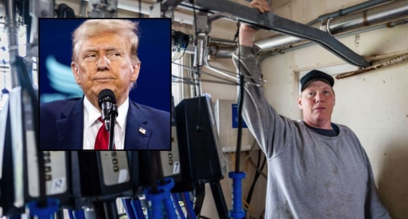 Farmer says Trump USDA discriminating against 'white males'
