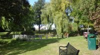 Five children hospitalised after 'large' tree falls on people in park - police declare 'serious incident'