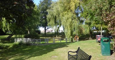 Five children hospitalised after 'large' tree falls on people in park - police declare 'serious incident'