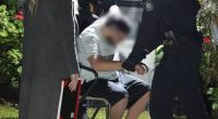 Four teens arrested over alleged six-hour sexual assault in Sydney