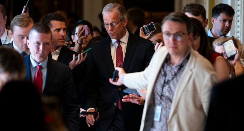 GOP leader sets Saturday vote on Trump 'big, beautiful bill' despite Republican pushback