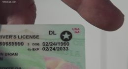 Georgia law permits digital IDs for traffic stops