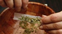 Heart surgeon weighs in on marijuana and heart disease risk