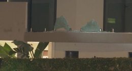 A home in Sydney's north west has been sprayed with bullets in a suspected drive-by shooting overnight.