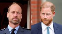 How Prince Harry ‘Left a Large Gap’ in Prince William’s World After Royal Exit