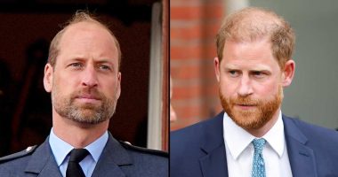 How Prince Harry ‘Left a Large Gap’ in Prince William’s World After Royal Exit